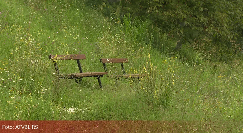 zeleni vir trava klupa.webp